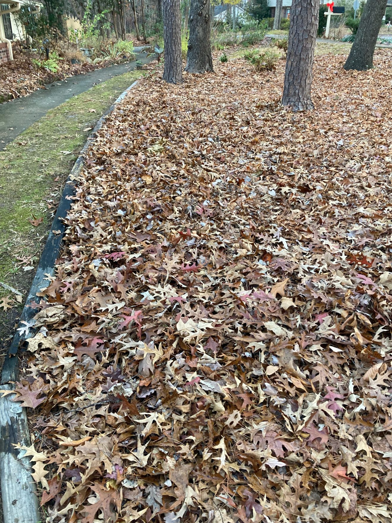 Leave some of the leaves